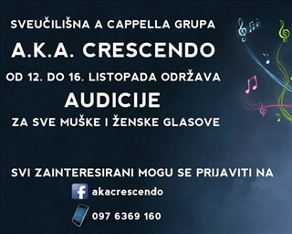 Poziv na audiciju